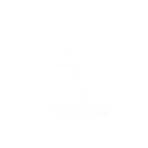Força aerea